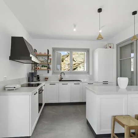 Seahorse Upper Floor With Private Pool - Andros Βίλα *
